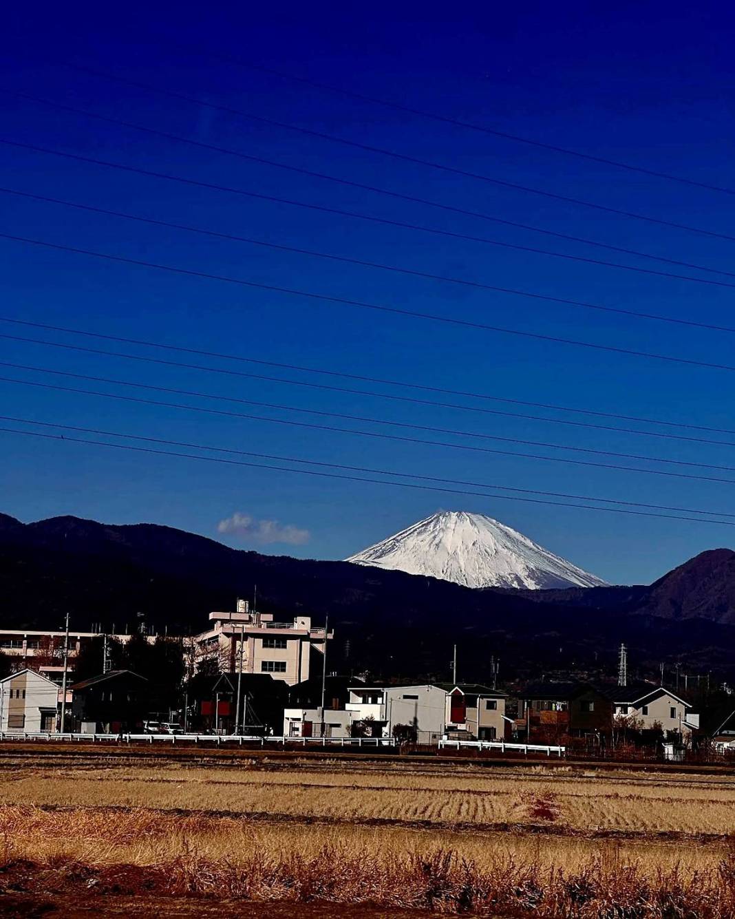 Japonya'da sevilen bir yabancı olun: Harika bir deneyim için altın kurallar! Gülümse ve kurallara uy 24